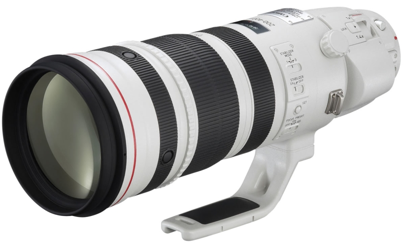 Canon EF 200-400mm/F4 L IS USM Extender 1.4x