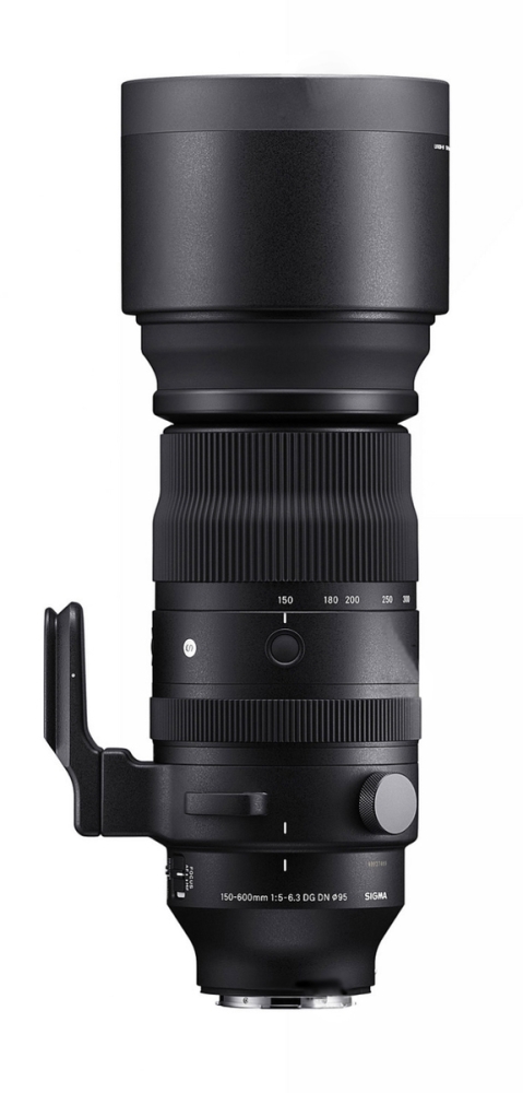 Sigma 150-600mm/F5,0-6,3 DG DN OS | Sports