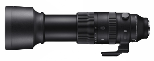 Sigma 60-600mm/4,5-6,3 DG DN OS | Sports