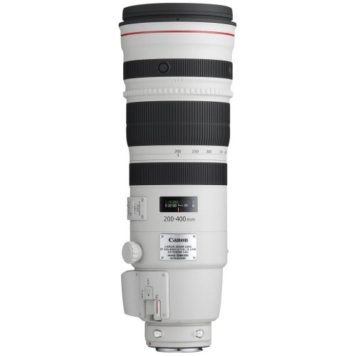 Canon EF 200-400mm/F4 L IS USM Extender 1.4x